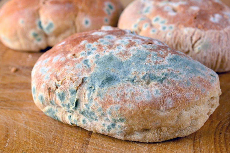 İşte ekmeğin küflenmesini önleyen yöntem – Alanya Postası